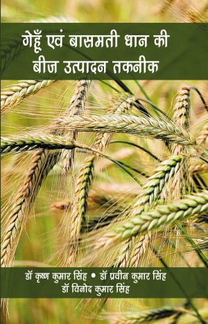 Wheat and Basmati Paddy Seed production technology